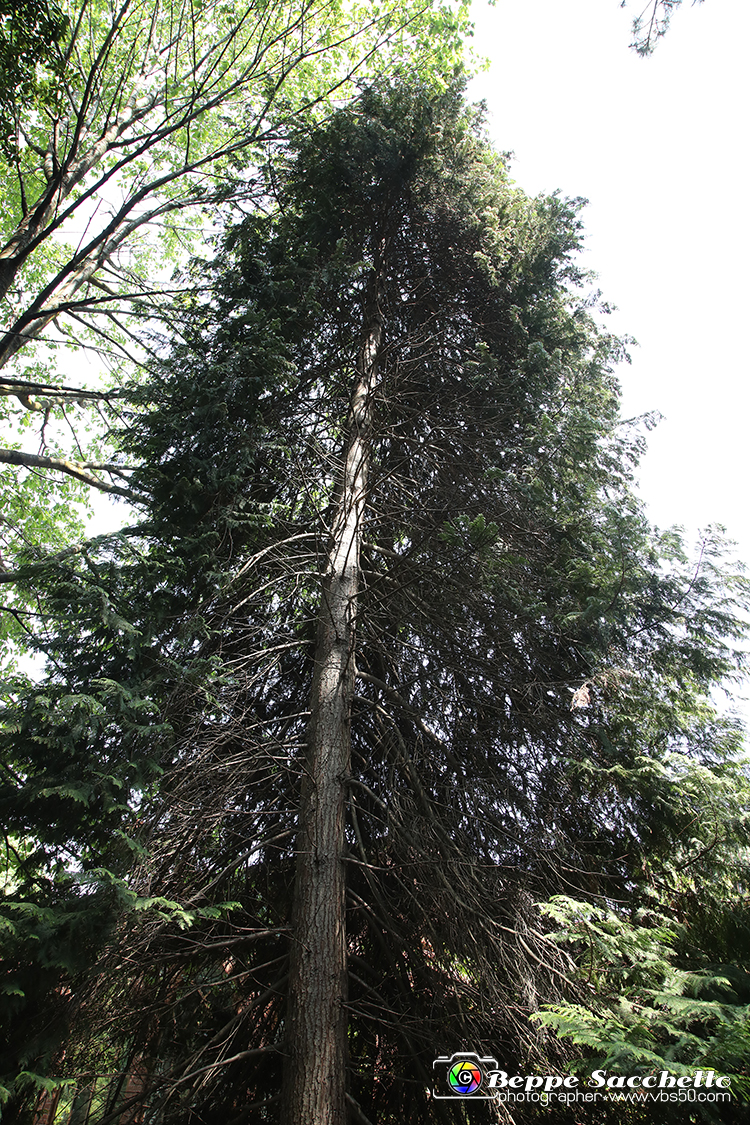 VBS_1509 - Castello di Miradolo - Mostra Oltre il giardino l'Abbecedario di paolo Pejrone.jpg